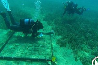 posidonia fytema